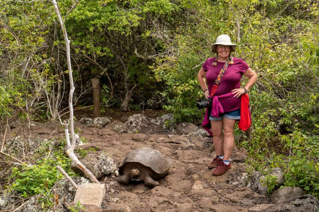 San Cristobal Giant Tortoise